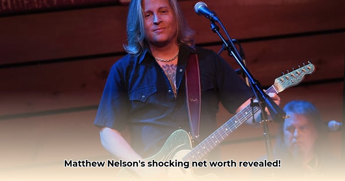 matthew-nelson-net-worth